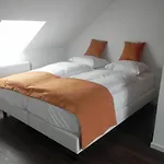 - Restaurant Uit De Kunst 3* ויילן